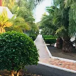 Canela 405 - Lanzarote