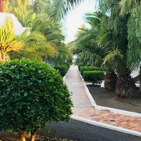 Canela 405 - Lanzarote